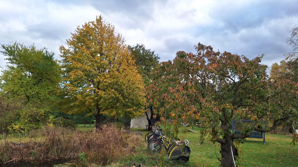 Nora – 31. Oktober 2023